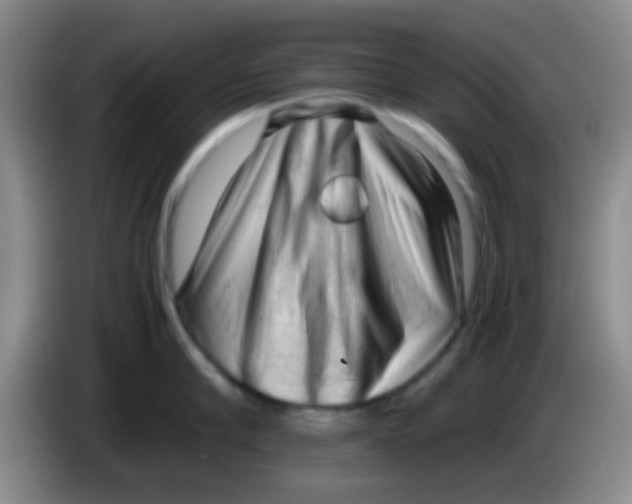 X0000084000910200703091903