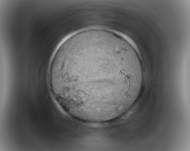 X0000084000911200703091903