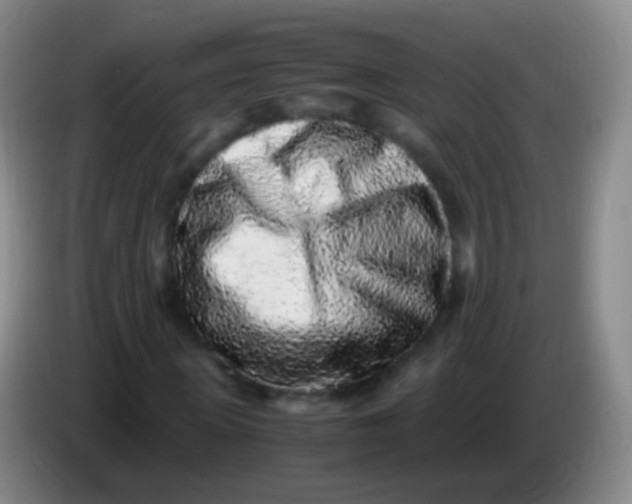 X0000084000915200703091903