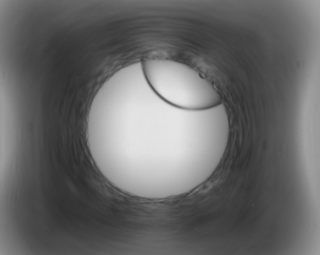 X0000084000916200703091903