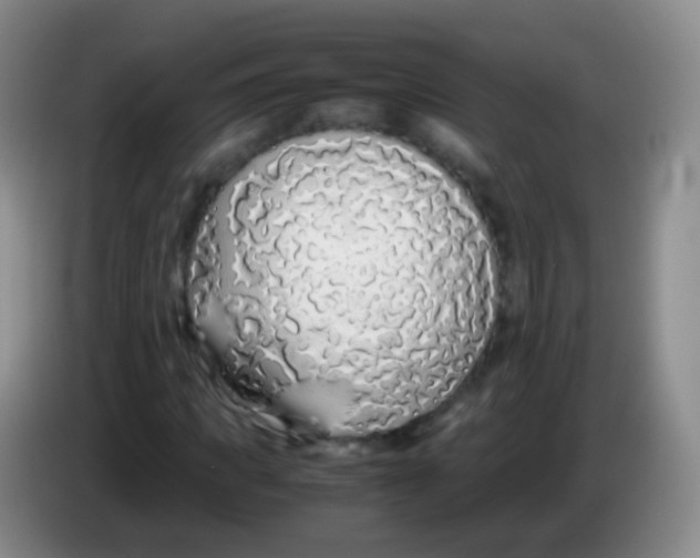 X0000084000917200703091903