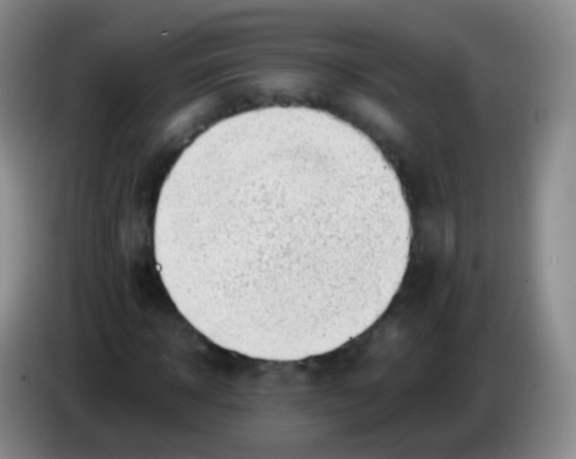 X0000084000918200703091903