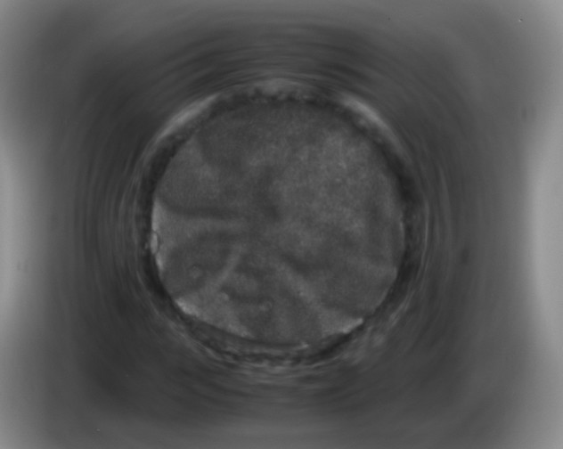 X0000084000919200703091903