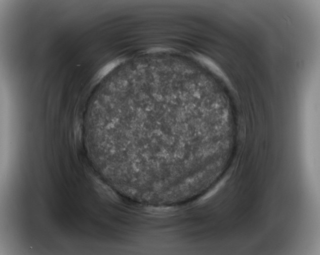 X0000084000921200703091903