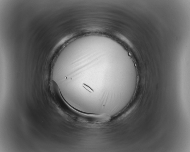 X0000084000922200703091903