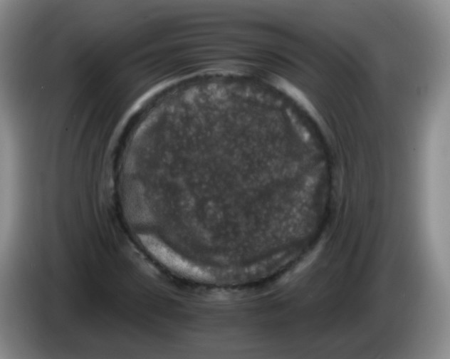 X0000084000923200703091903