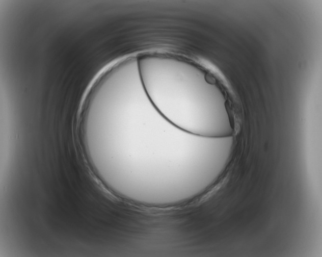 X0000084000924200703091903