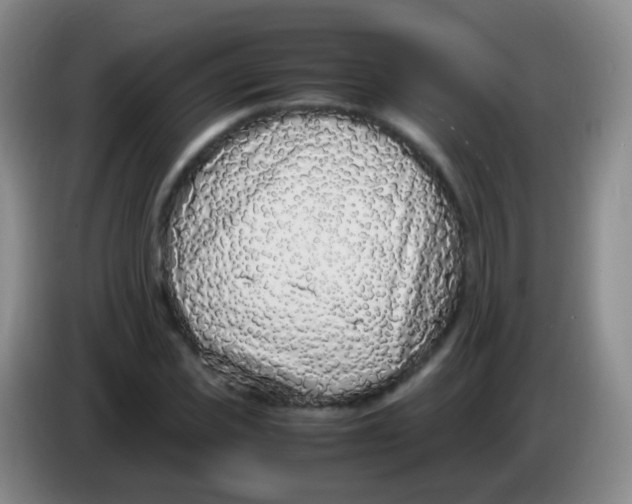 X0000084000925200703091903
