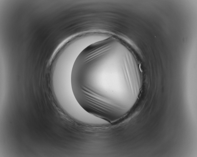 X0000084000926200703091903