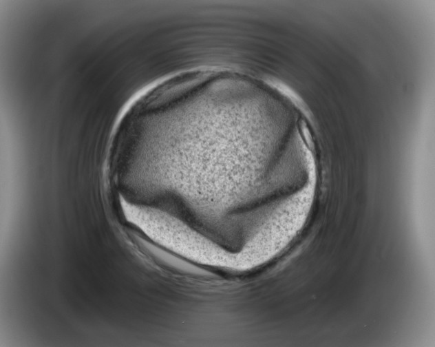 X0000084000928200703091903