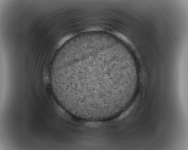 X0000084000929200703091903