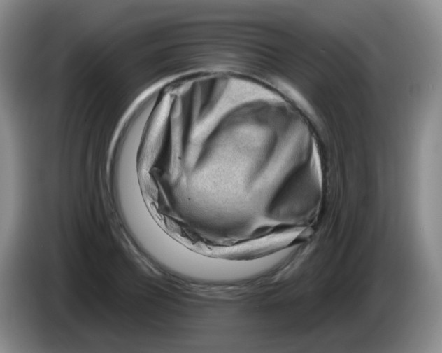 X0000084000932200703091903
