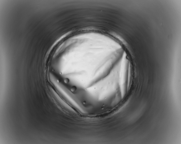 X0000084000933200703091903