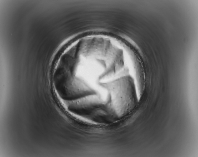 X0000084000935200703091903