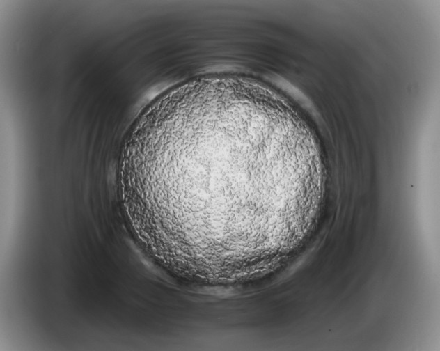 X0000084000937200703091903