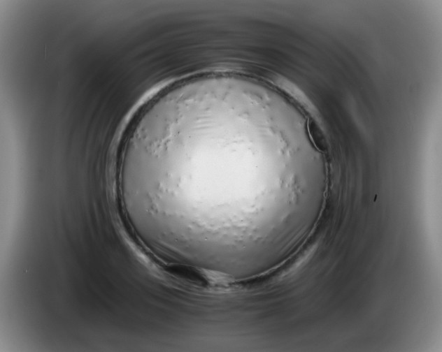 X0000084000939200703091903