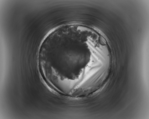 X0000084000941200703091903