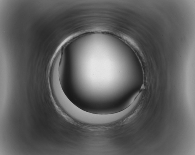 X0000084000942200703091903
