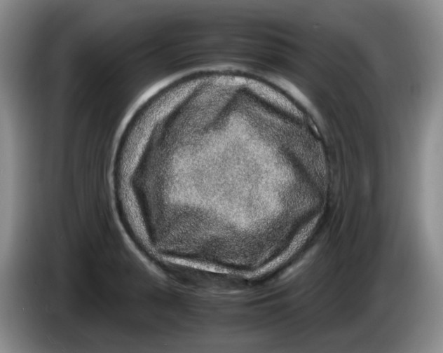 X0000084000943200703091903