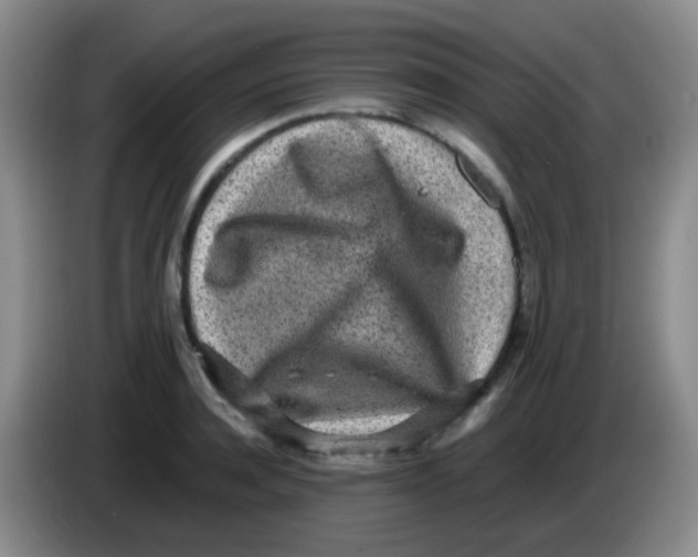 X0000084000944200703091903