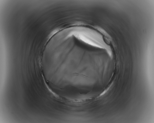 X0000084000945200703091903