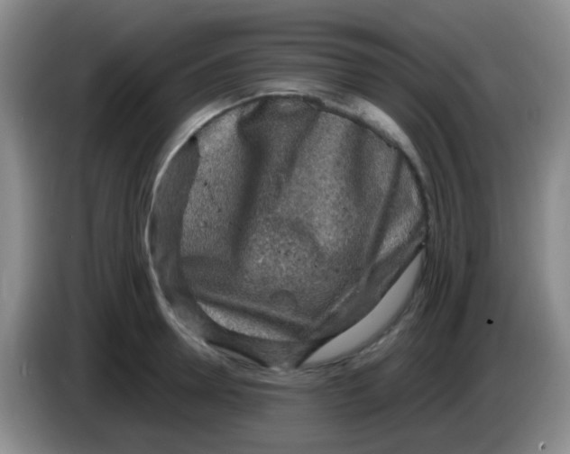 X0000084000946200703091903