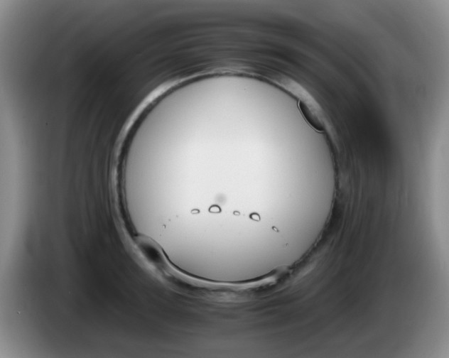 X0000084000947200703091903