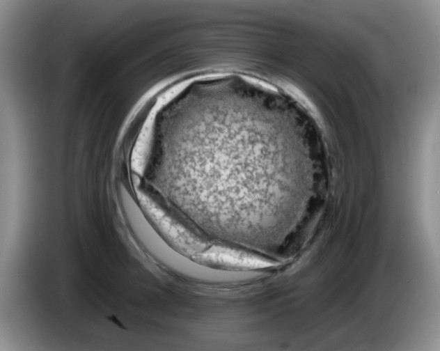 X0000084000948200703091903