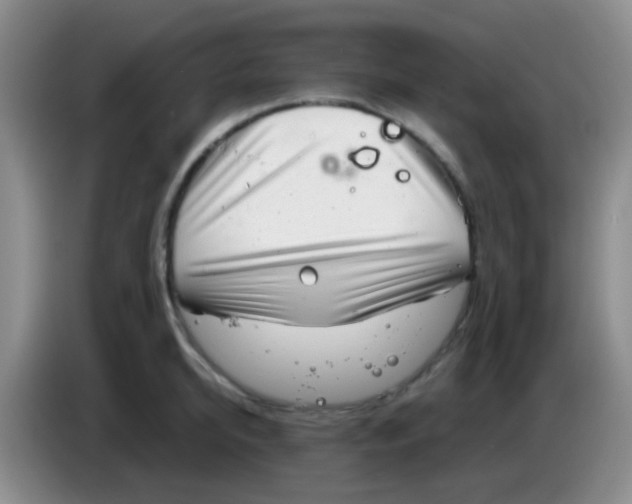 X0000084000950200703091903