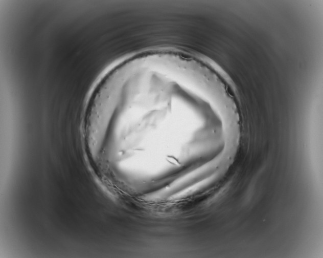 X0000084000951200703091903
