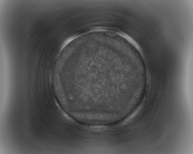 X0000084000953200703091903