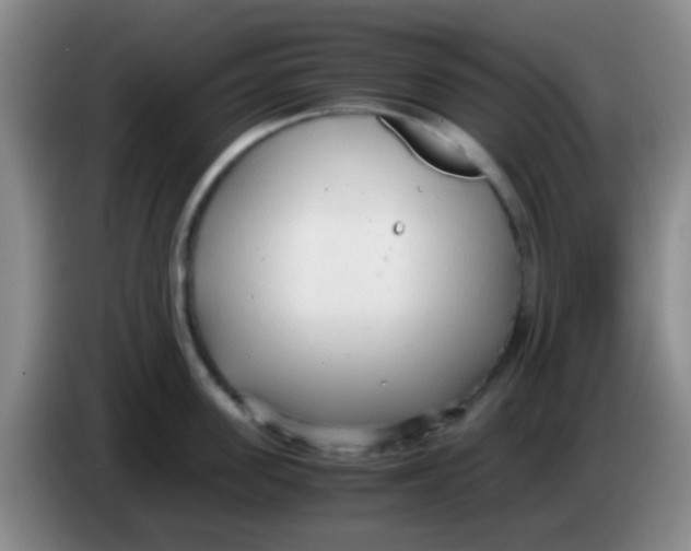 X0000084000955200703091903