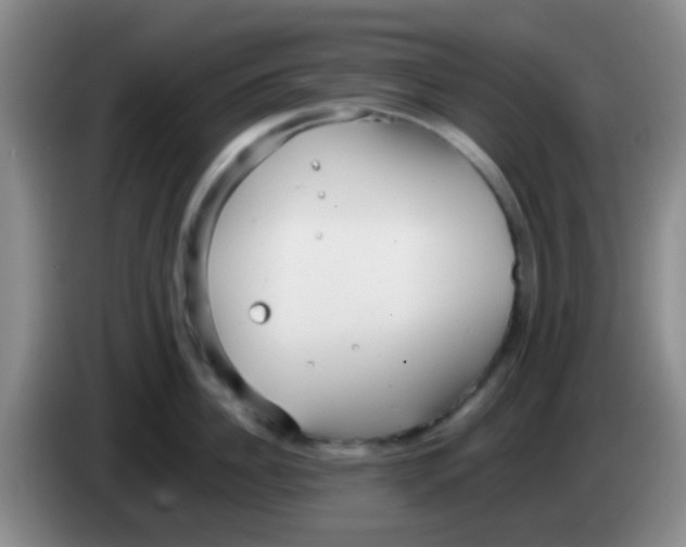 X0000084000956200703091903