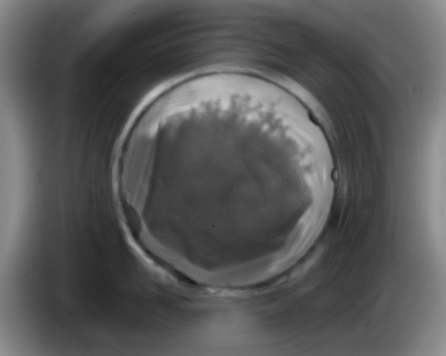 X0000084000958200703091903