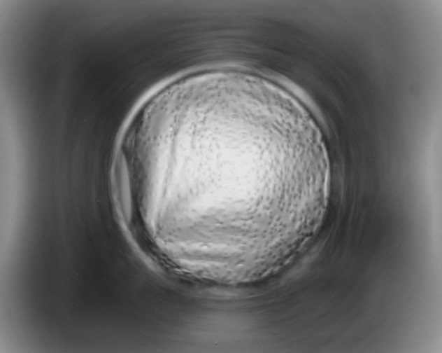 X0000084000959200703091903