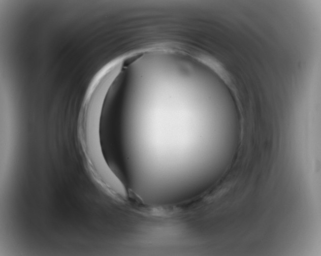 X0000084000960200703091903