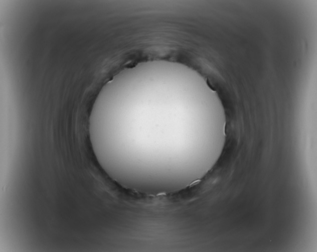 X0000084000961200703091903