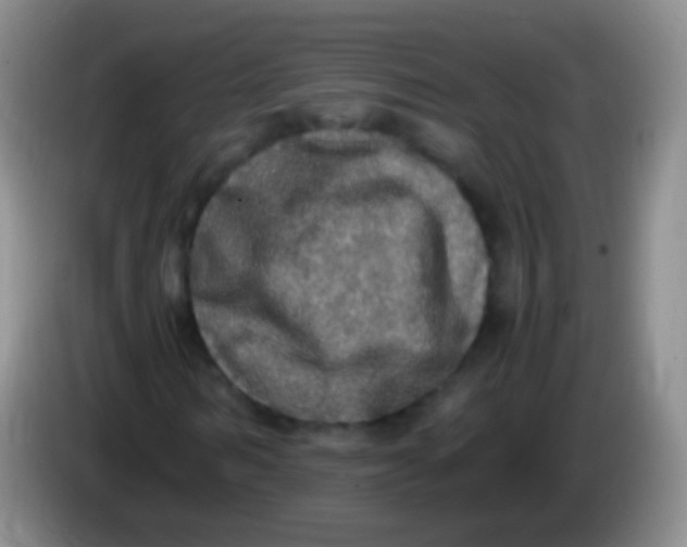 X0000084000962200703091903