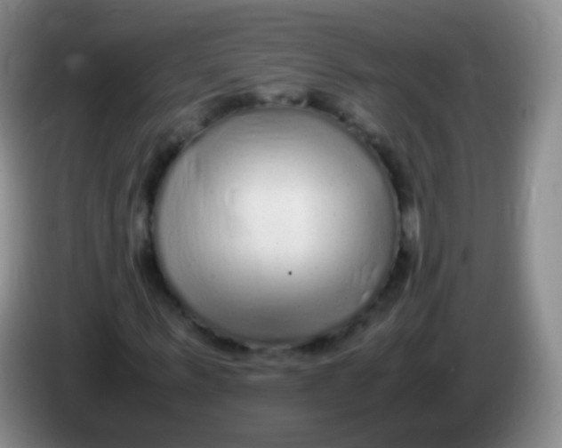 X0000084000963200703091902