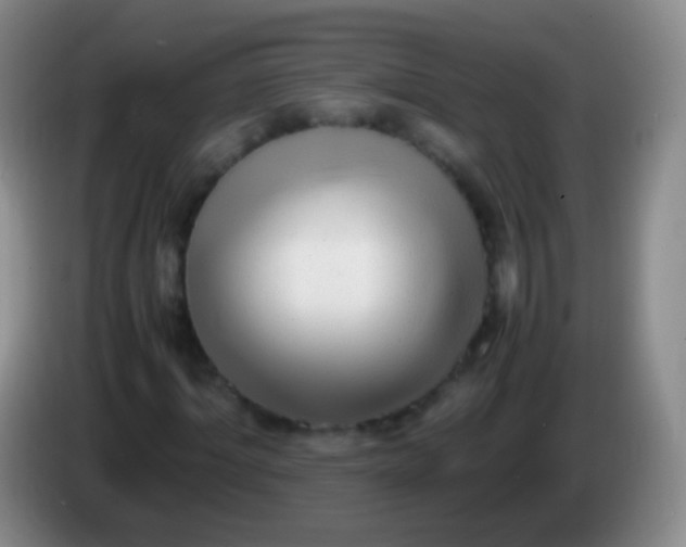 X0000084000964200703091902