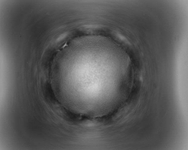 X0000084000965200703091902