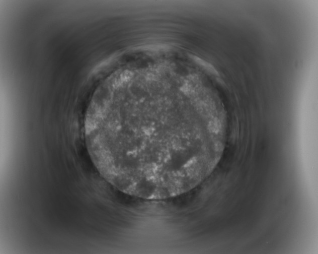 X0000084000966200703091902