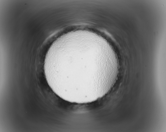 X0000084000967200703091902