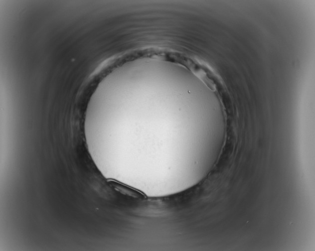 X0000084000968200703091902