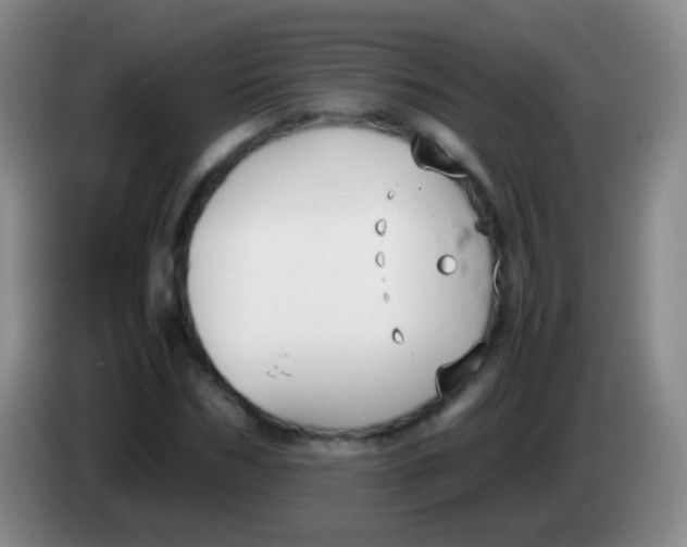 X0000084000970200703091902