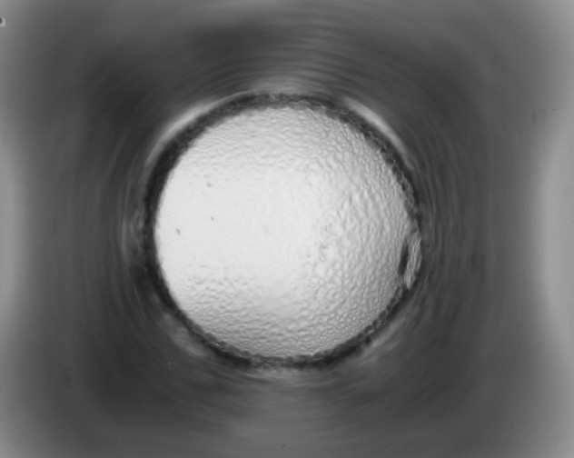 X0000084000971200703091902