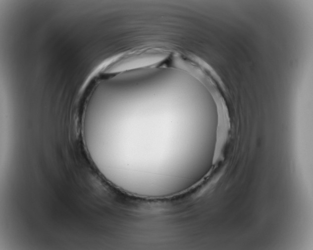 X0000084000973200703091902