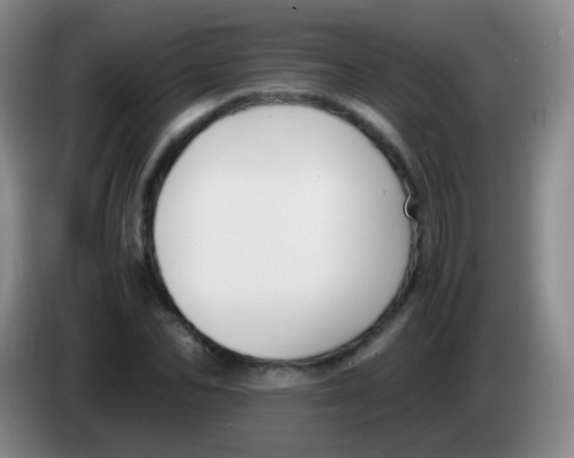 X0000084000974200703091902