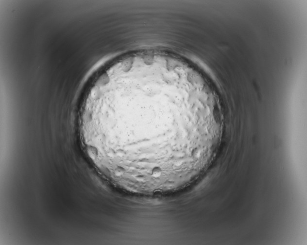 X0000084000975200703091902