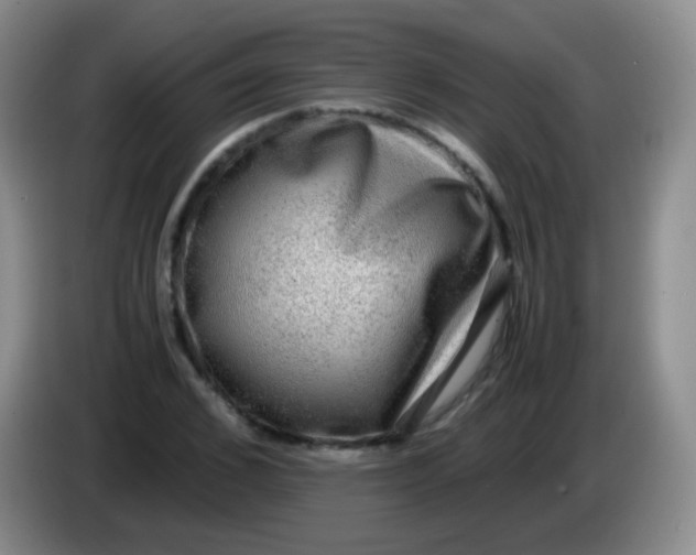 X0000084000976200703091902